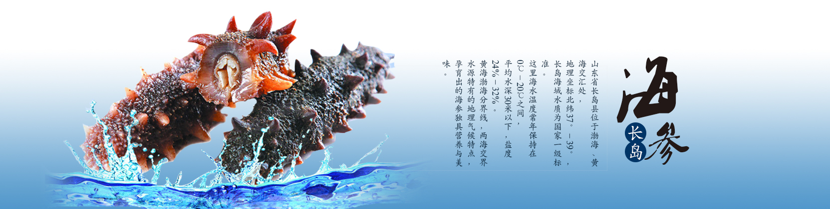 魯強能源裝備有限公司